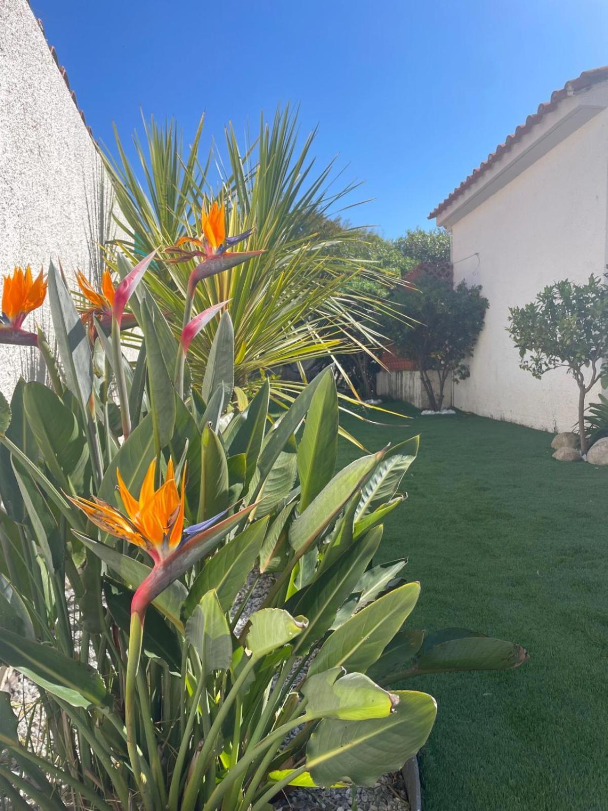 Belle Villa Classee 4 Etoiles Proche Plage Avec Jardin Saint-Cyprien  Exterior photo