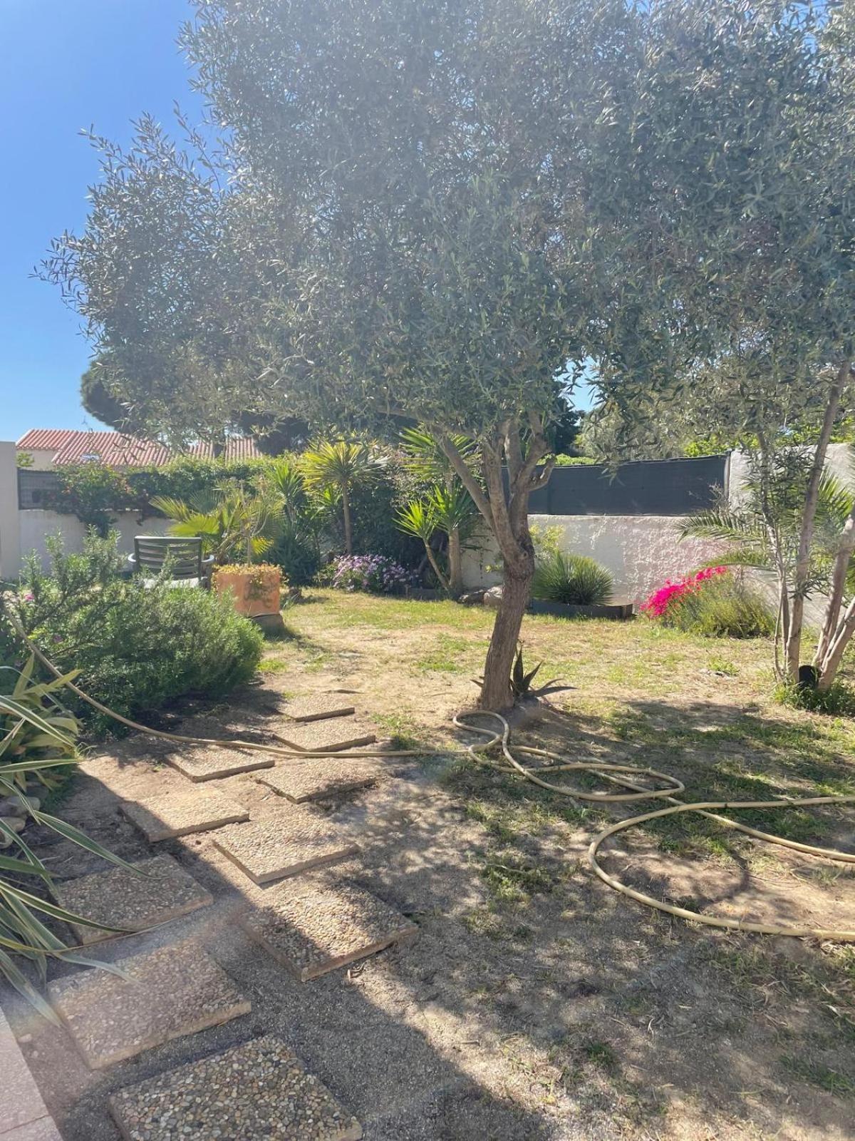 Belle Villa Classee 4 Etoiles Proche Plage Avec Jardin Saint-Cyprien  Exterior photo